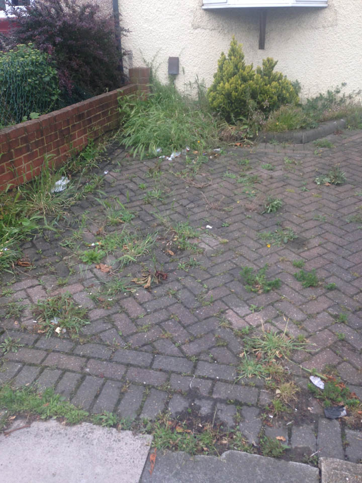 Decrepit driveway before driveway cleaning Driveway in need of driveway cleaning